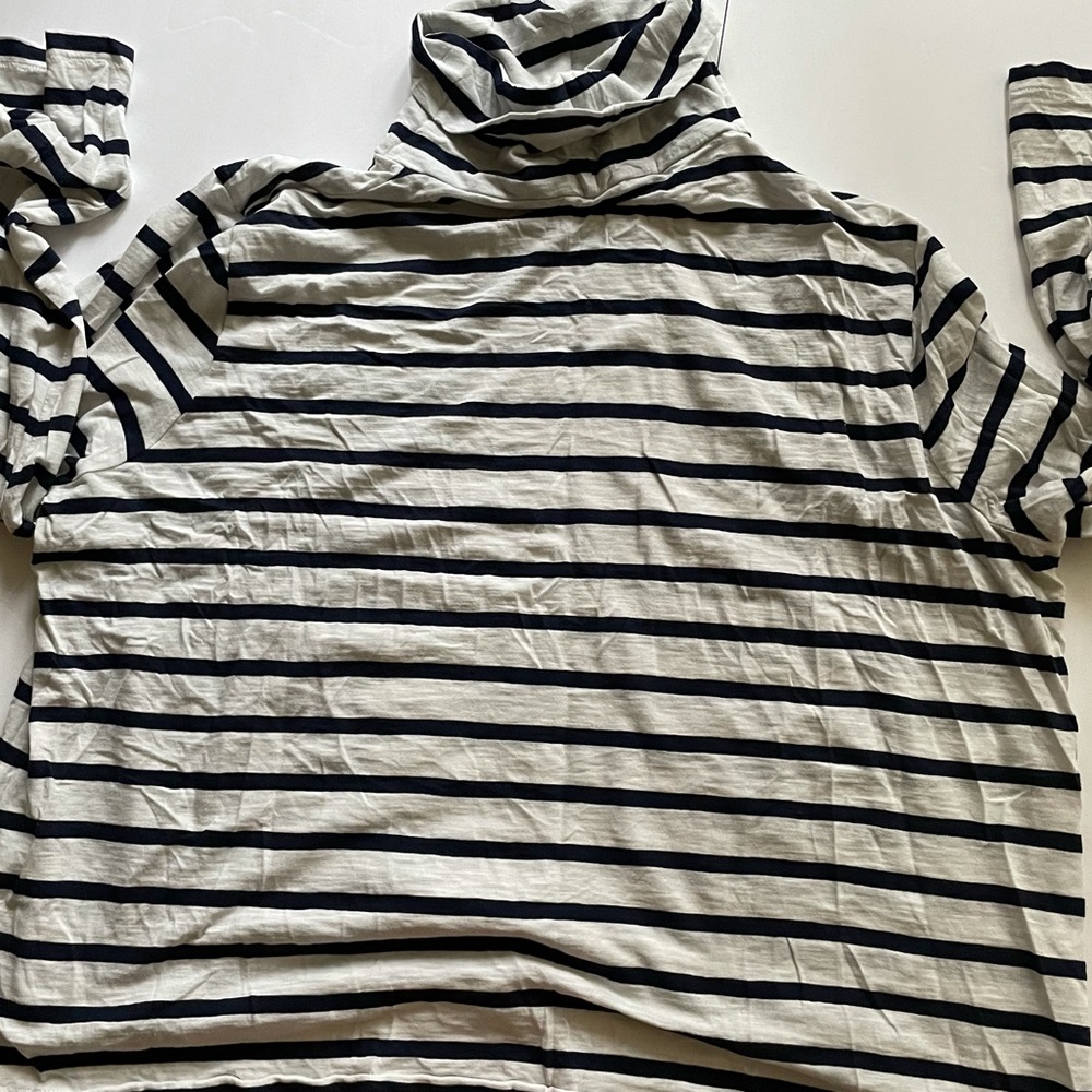 Madewell Thin Dark Blue Strip Turtle Neck